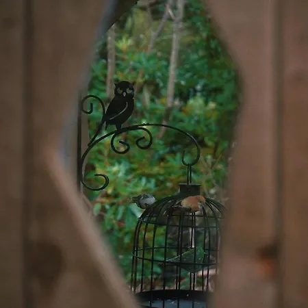 An Bothan Beag The Little Hut 营地 斯奇博瑞恩