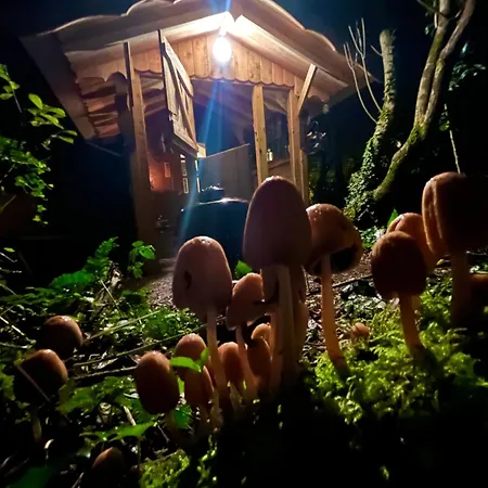An Bothan Beag The Little Hut *